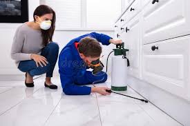 Best Bed Bug Extermination  in North Hills, NY